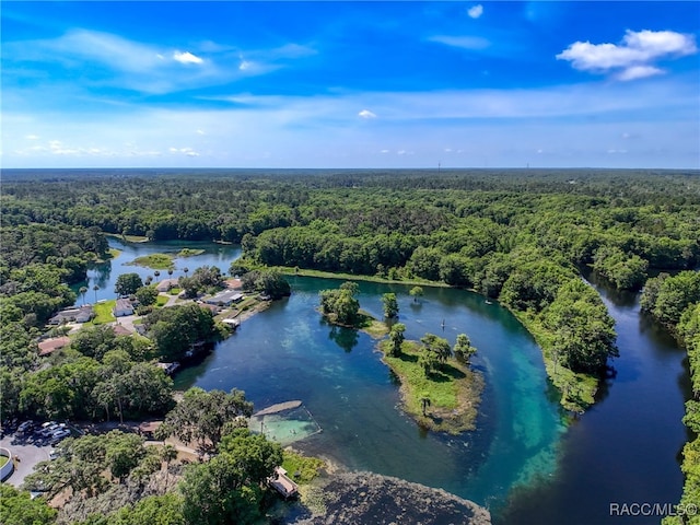 9980 N Bamboo Way, Dunnellon, FL 34434 - photo 62