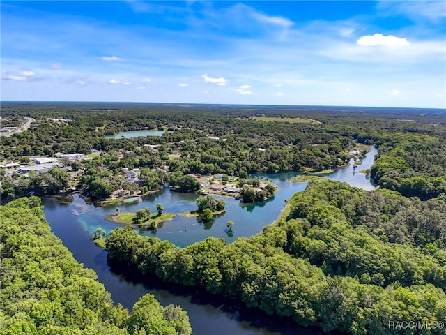 9980 N Bamboo Way, Dunnellon, FL 34434 - photo 61