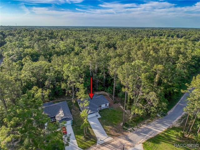 9980 N Bamboo Way, Dunnellon, FL 34434 - photo 58