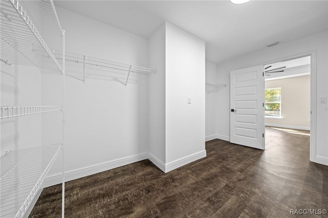 spacious closet featuring dark wood-type flooring