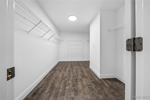 spacious closet featuring dark hardwood / wood-style floors