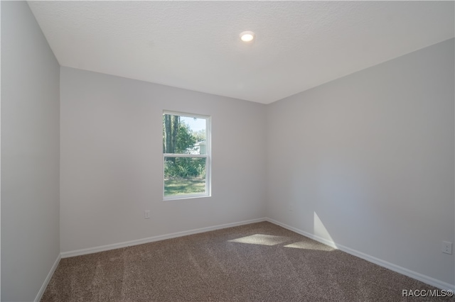 spare room with carpet and a textured ceiling