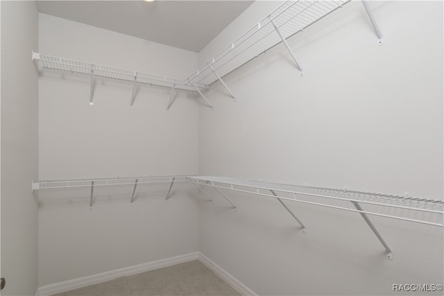 view of walk in closet