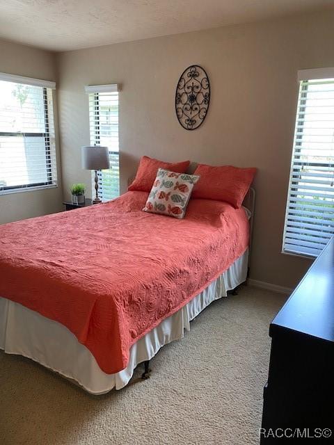 715 E Hartford St Unit 4A, Hernando, FL 34442 - bedroom with carpet and baseboards