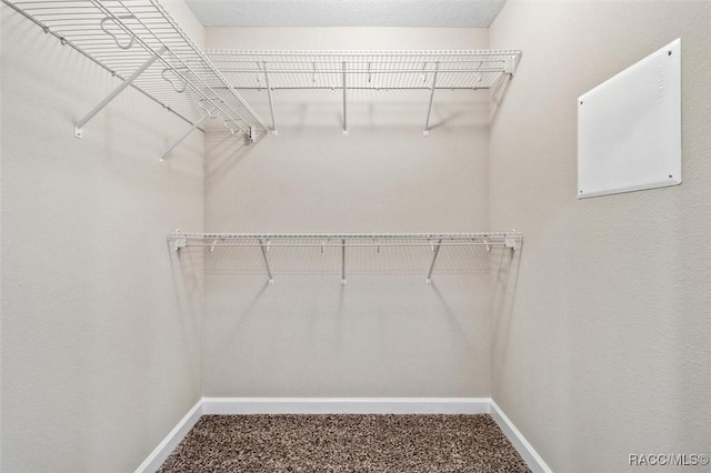 walk in closet featuring carpet