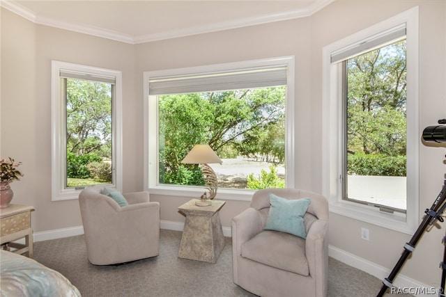 living area featuring a healthy amount of sunlight, ornamental molding, and carpet floors