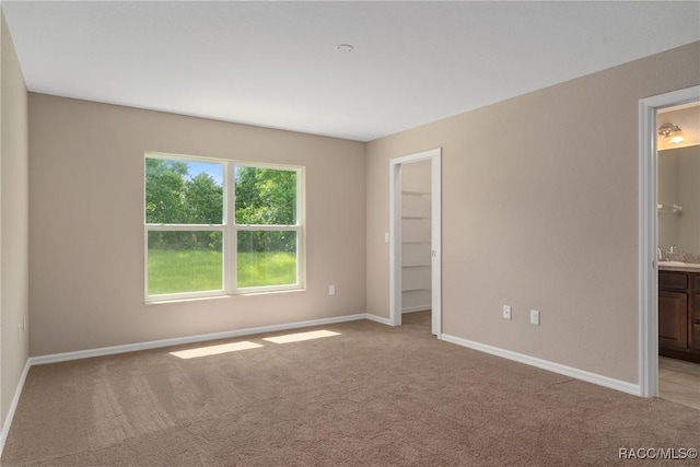 empty room featuring light colored carpet and sink