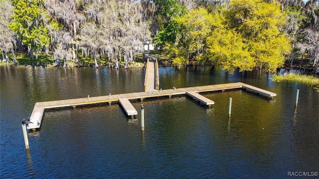 dock area with a water view