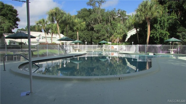 view of swimming pool