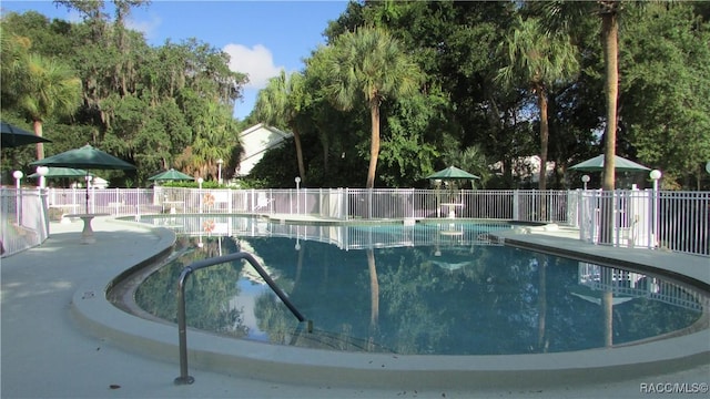 view of swimming pool with a patio