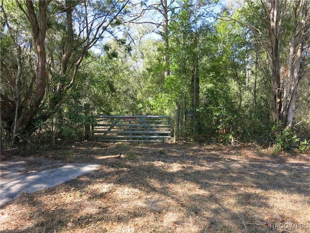 view of gate with fence