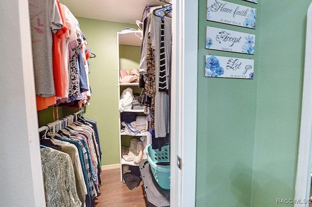 walk in closet featuring wood-type flooring