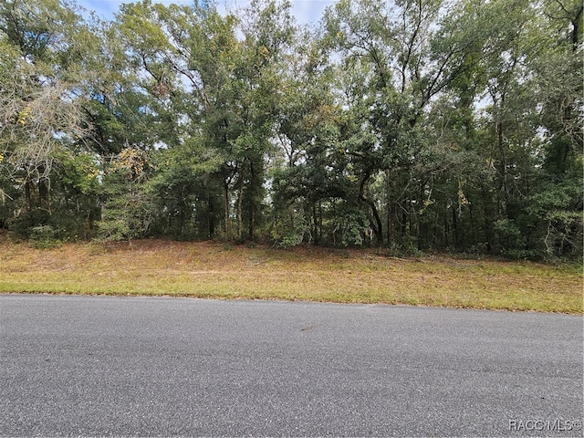 593 E Abend Dr, Citrus Springs FL, 34434 land for sale