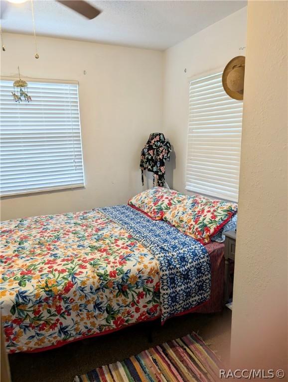 bedroom featuring ceiling fan and multiple windows