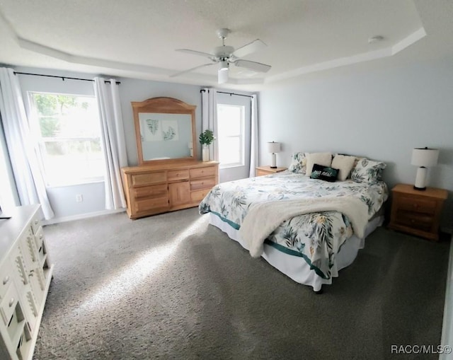 bedroom featuring carpet, ceiling fan, a raised ceiling, and multiple windows