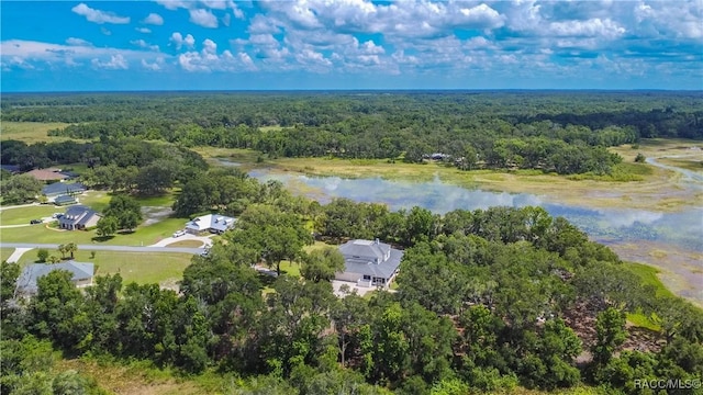 9093 E Pinehurst Ct, Inverness, FL 34450 - drone / aerial view of a heavily wooded area and a large body of water