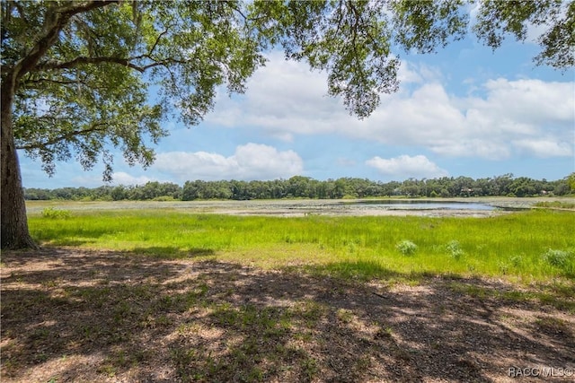 9093 E Pinehurst Ct, Inverness, FL 34450 - view of yard with a water view