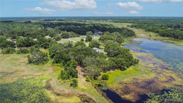 9093 E Pinehurst Ct, Inverness, FL 34450 - drone / aerial view of a forest and a nearby body of water