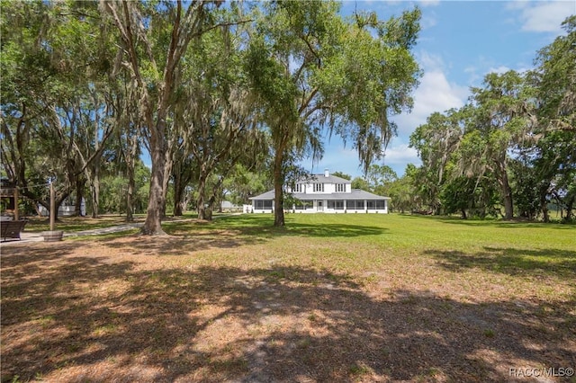 9093 E Pinehurst Ct, Inverness, FL 34450 - view of green lawn
