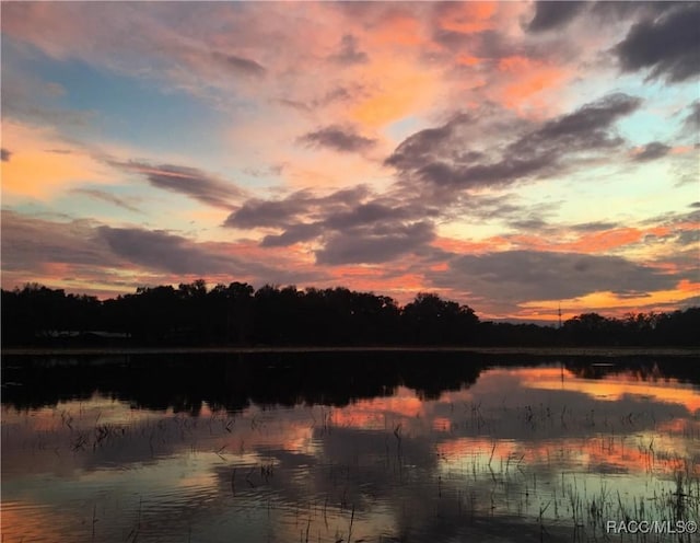 9093 E Pinehurst Ct, Inverness, FL 34450 - water view
