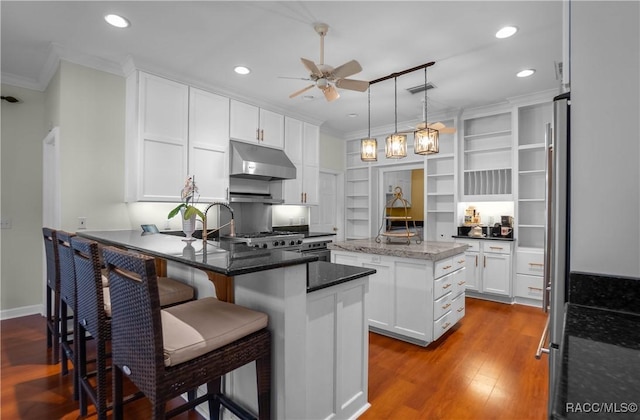 9093 E Pinehurst Ct, Inverness, FL 34450 - kitchen with under cabinet range hood, ornamental molding, open shelves, ceiling fan, and a peninsula