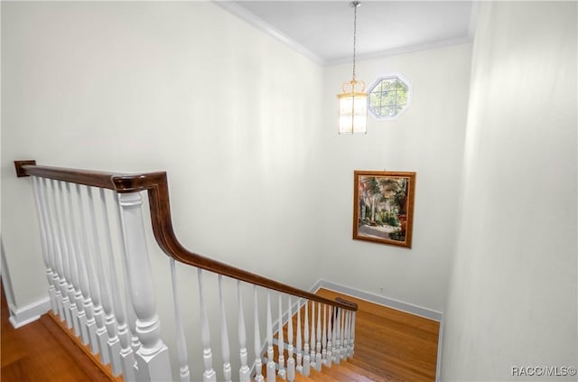 9093 E Pinehurst Ct, Inverness, FL 34450 - stairway featuring ornamental molding and wood finished floors