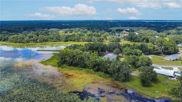 9093 E Pinehurst Ct, Inverness, FL 34450 - drone / aerial view of a forest and a large body of water