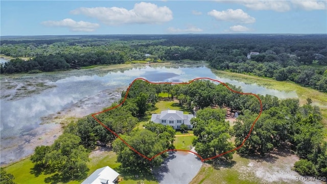 9093 E Pinehurst Ct, Inverness, FL 34450 - aerial view of a heavily wooded area and a large body of water