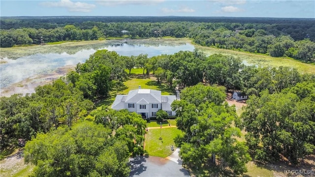 9093 E Pinehurst Ct, Inverness, FL 34450 - view of subject property featuring a forest and a large body of water