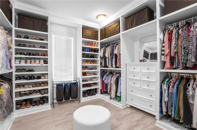 9093 E Pinehurst Ct, Inverness, FL 34450 - walk in closet with wood finished floors