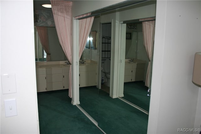 bathroom with sink and toilet