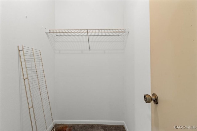 813 Constitution Blvd, Inverness, FL 34453 - walk in closet with carpet