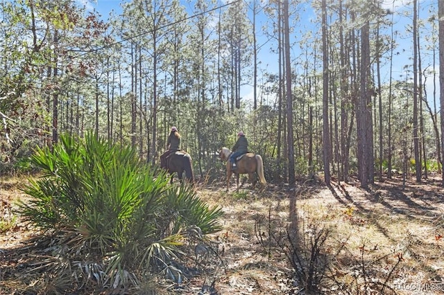 view of local wilderness