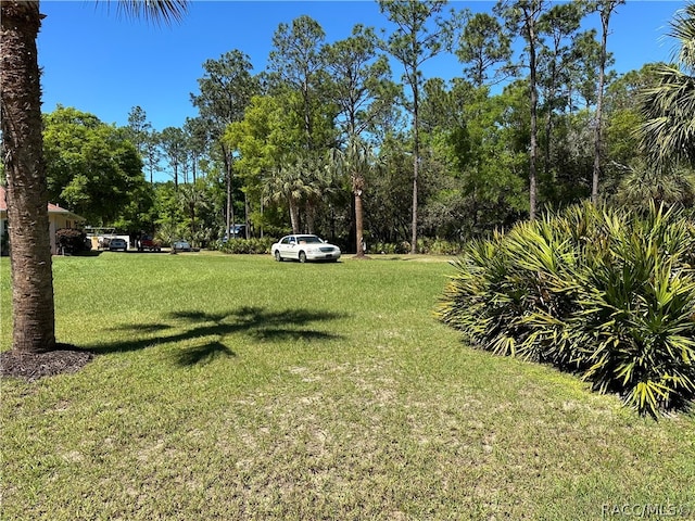 Listing photo 3 for 10071 W Dunnellon Rd, Crystal River FL 34428