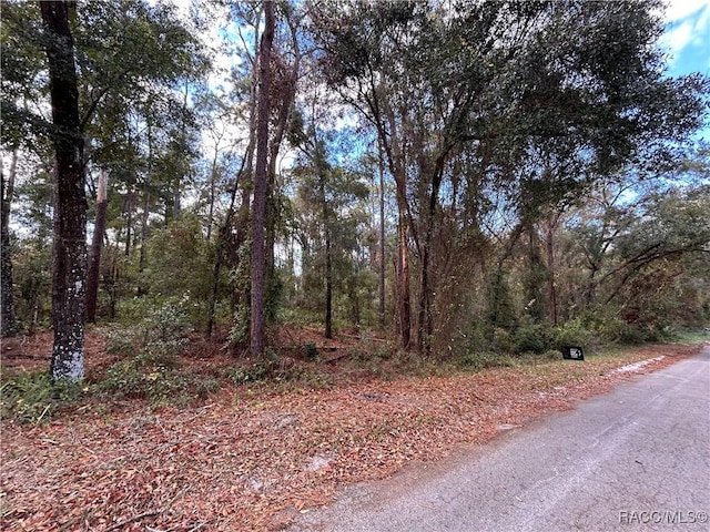 3492 S Dean Ter, Inverness FL, 34452 land for sale