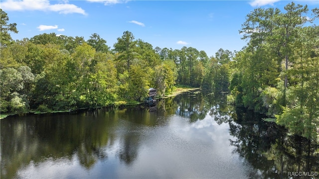 property view of water