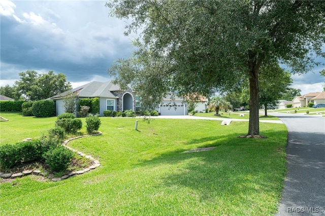 view of front of house featuring a front yard