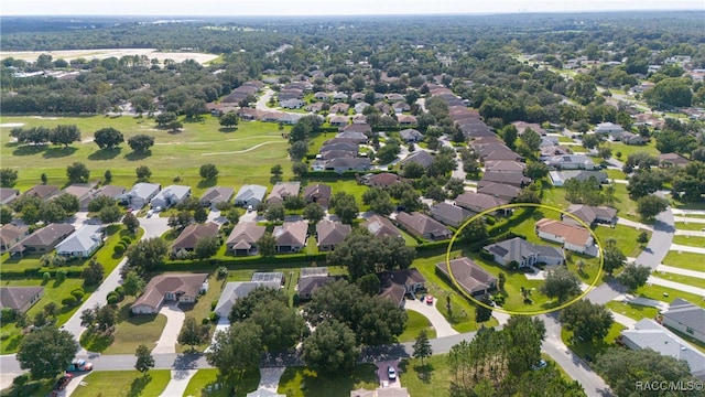 aerial view