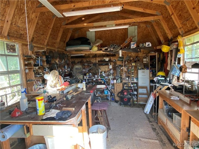 miscellaneous room featuring a workshop area and lofted ceiling