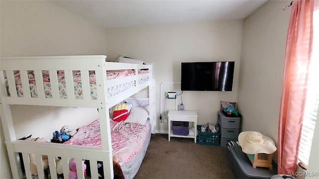 bedroom featuring dark colored carpet and multiple windows