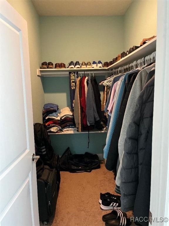 walk in closet featuring carpet