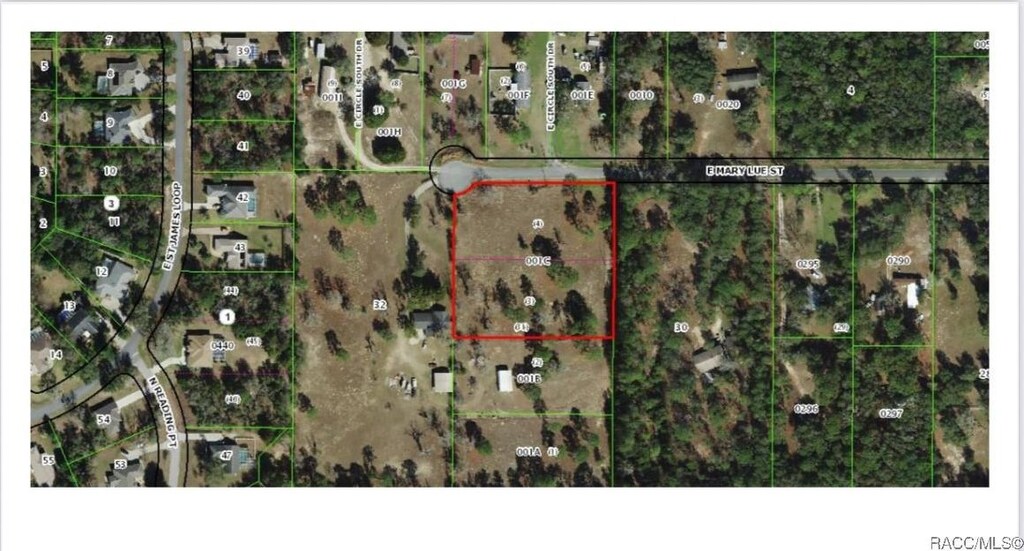1502 N Popcorn Pt, Inverness, FL 34453