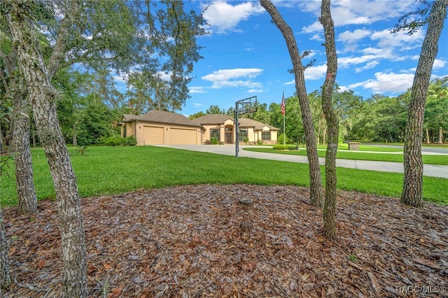 view of yard featuring a garage