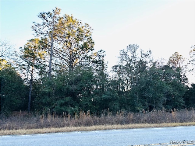 Listing photo 3 for TBD SW Marine Blvd, Dunnellon FL 34431