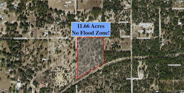 10791 N Felt Ter, Dunnellon FL, 34433 land for sale