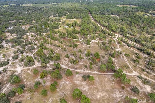 10791 N Felt Ter, Dunnellon, FL 34433 - photo 2