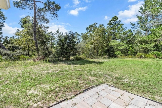 view of yard with a patio area