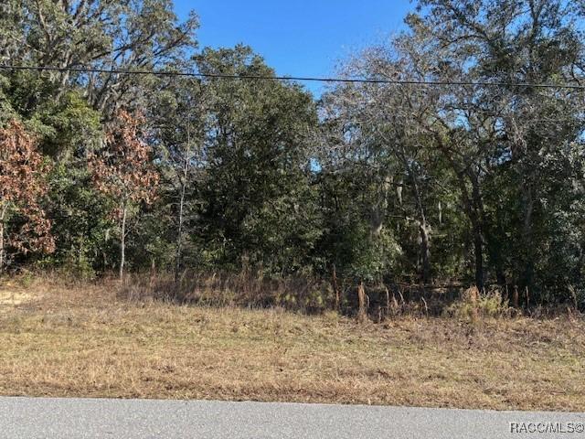 525 N Fresno Ave, Hernando FL, 34442 land for sale