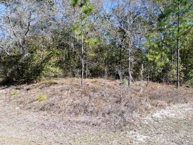 LOT2 SW 215th Ave, Dunnellon, FL 34431