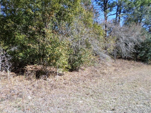 LOT2 SW 215th Ave, Dunnellon, FL 34431